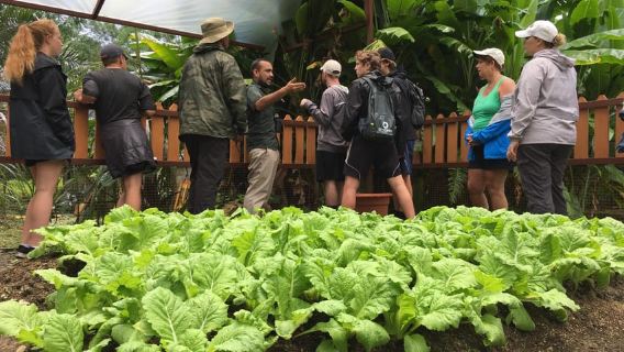 Quepos: Manuel Antonio Local Flavor Tour