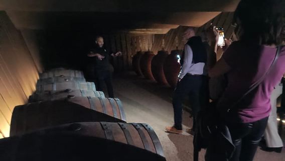 Girona: Local Wineries Tour with Breakfast and Wine Tasting