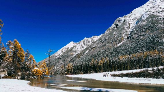 [Departing from Chengdu] Bipeng Valley day tour – Snow-capped mountains and colorful forests reflected in alpine lakes, red rocks and waterfalls amidst meadows