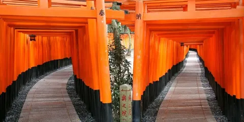 京都完美1日巴士遊