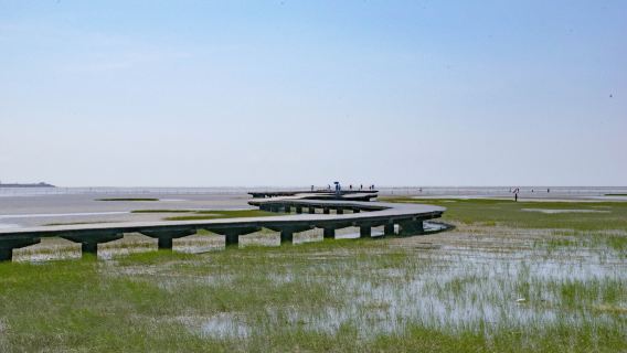 타이중+장화 루강+가오메이 습지 [타이중 출발 | 전세 차량으로 편안하게 여행]