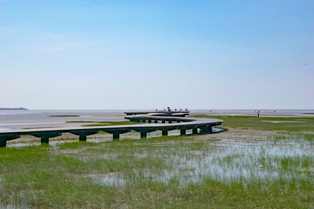 台中+彰化鹿港+高美濕地【台中出發｜包車暢遊】