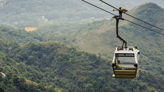 Cáp treo Ngong Ping: Cabin tiêu chuẩn/Cabin pha lê