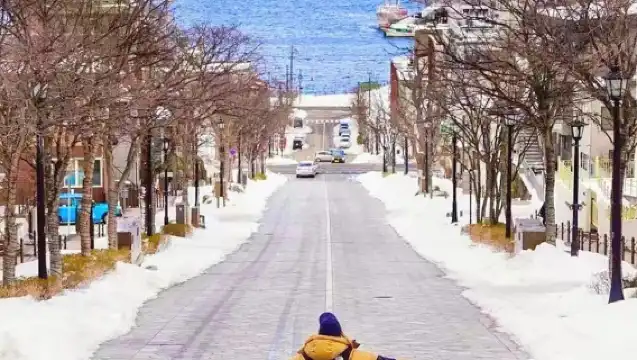日本札幌-小樽網紅景點/可登別富良野北海道多日包車-精選