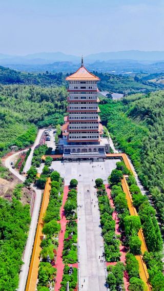 1-day Tour in Wuxi, Jiangsu: Yixing Bamboo Sea + Yaohu Town + Dajue Temple (Chinese and English Services Available)