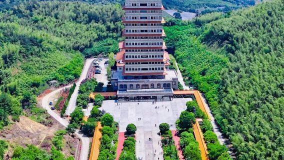 1-day tour to Yixing Bamboo Sea + Yaohu Town + Dajue Temple in Wuxi, Jiangsu (English service available)