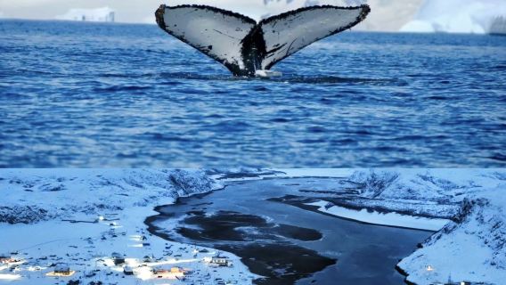 【免簽俄羅斯】捷裡別爾卡+可選追鯨/雪地摩托/冰浮一日遊