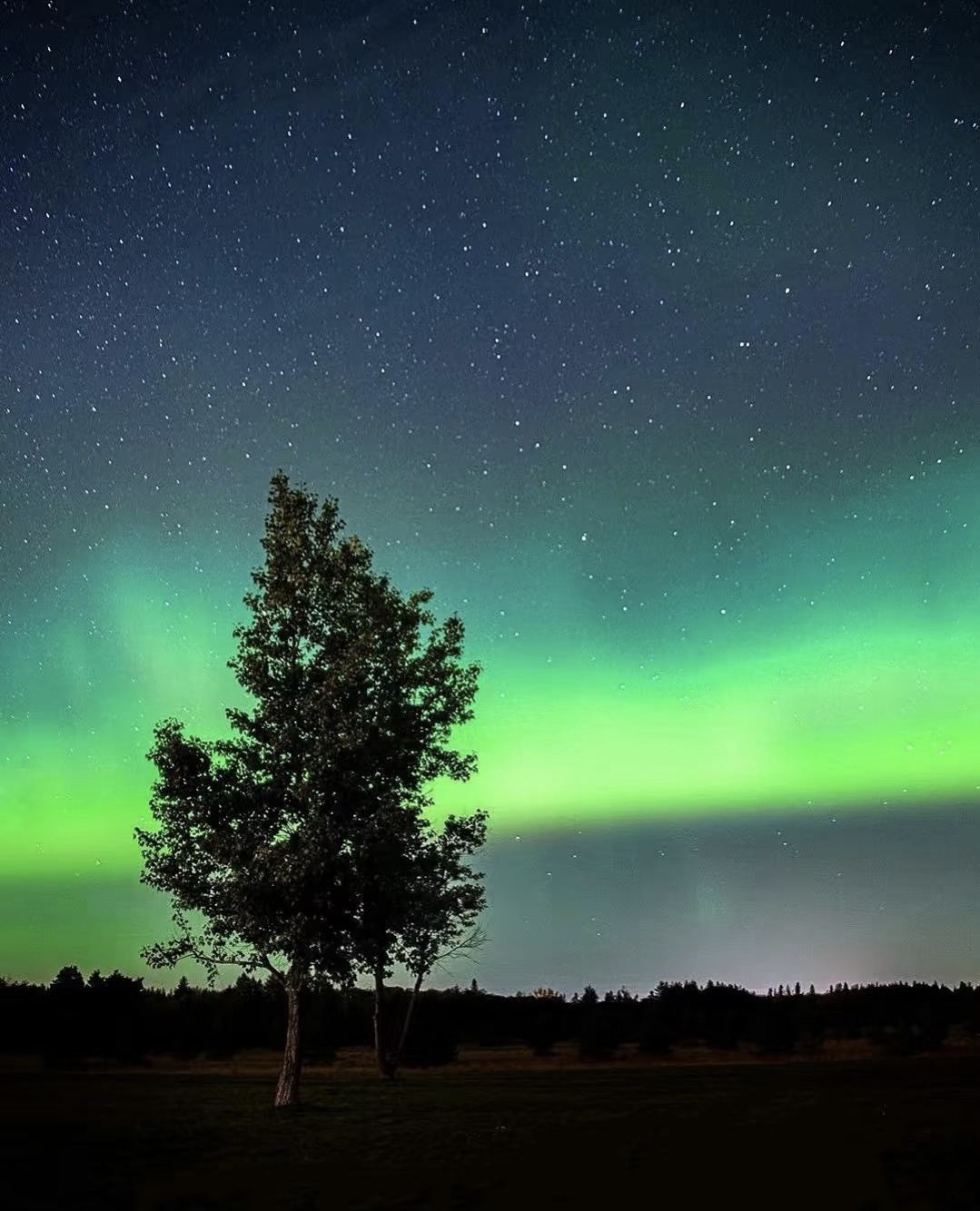 【極光獵人4小時追光之旅】俄羅斯摩爾曼斯克北極光中文專線