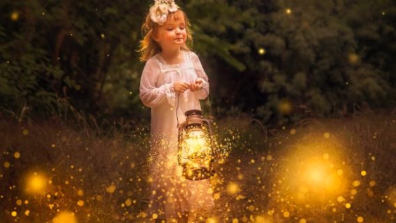 亞庇Kawa紅樹林螢火蟲一日遊丨威士頓/天鏡/雙河道可選