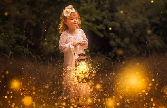 天境208丨亞庇Kawa紅樹林螢火蟲一日遊丨可選威士頓/天鏡