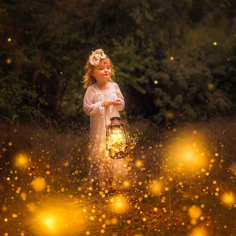 Kota Kinabalu Kawa Mangrovenwald Glühwürmchen Tagesausflug | Weston/Himmels Spiegel/Doppelkanal zur Auswahl