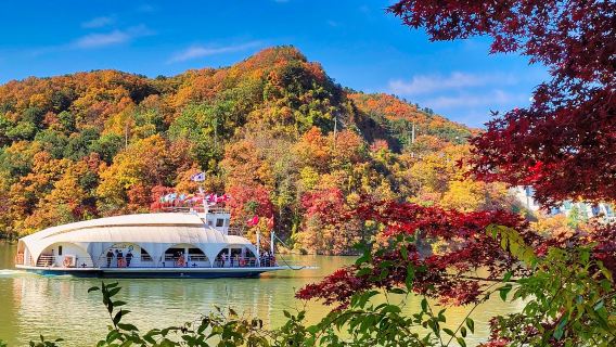 Gyeonggi-do|Alpaca World X Nami Island X Gangcheon Rail Bike