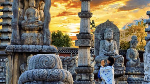 Nanjing: Niu Shou Mountain + Confucius Temple + Jiming Temple + Ming Xiaoling Mausoleum + Sun Yat-sen Mausoleum + Linggu Temple one-day tour