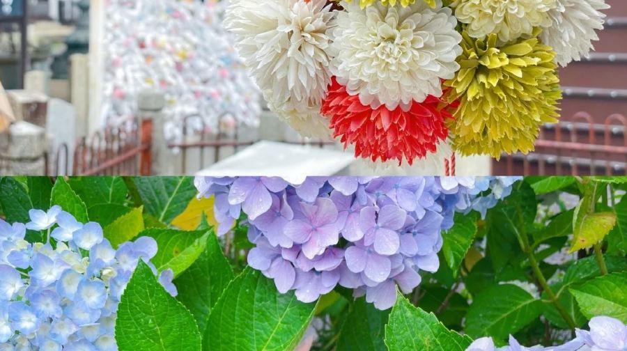 京都清水寺+嵐山+楊谷寺一日遊