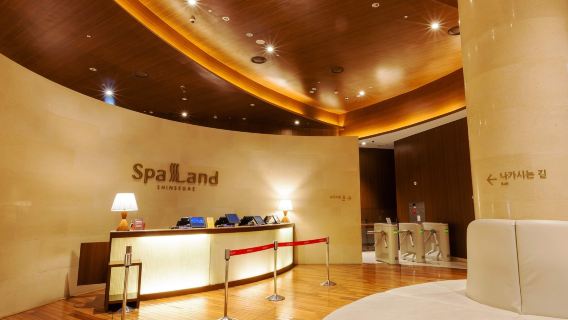 Busan Shinsegae Spa Land Steam Room Experience