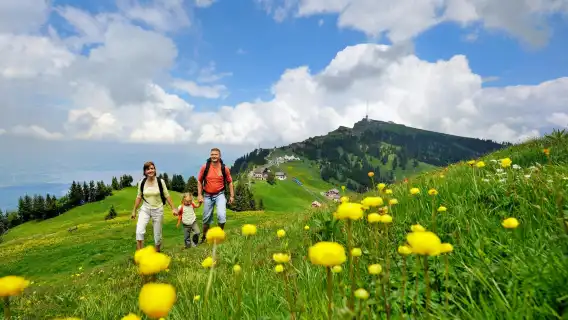 Mount Rigi day trip from Zurich with boat tour