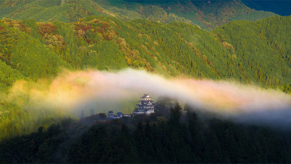 郡上市日遊