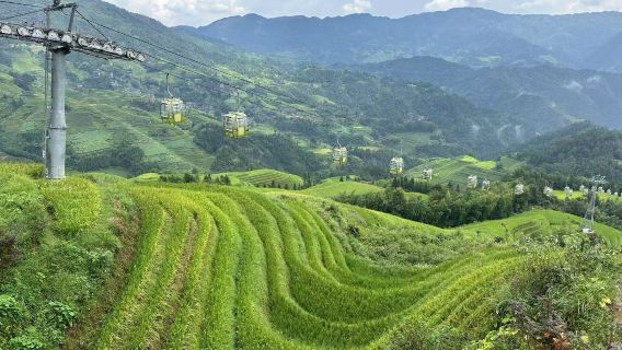 Guilin: 1-day private tour to Reed Flute Cave and Longji Rice Terraces