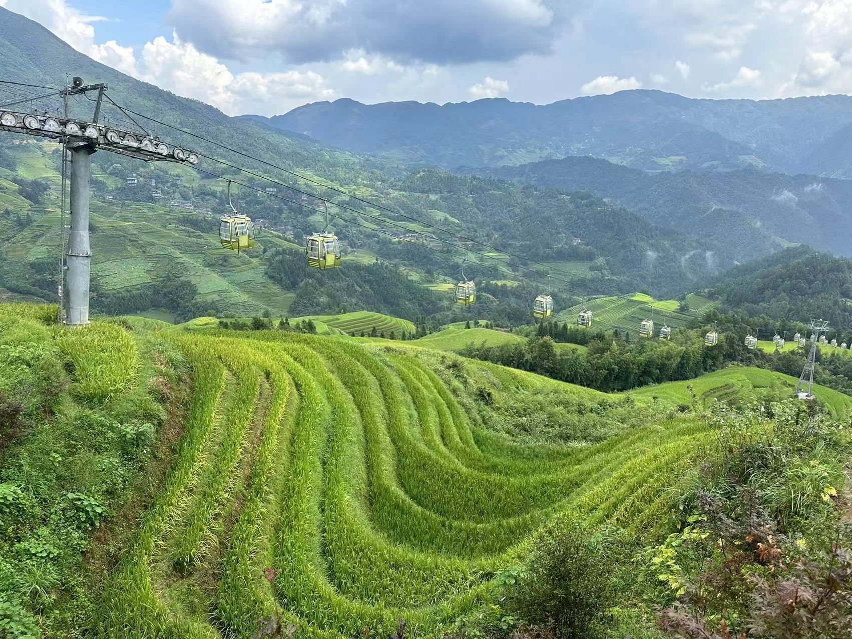 Guilin: tour privato di 1 giorno alla Grotta di Flauto di Canna e alle Terrazze di Riso di Longji