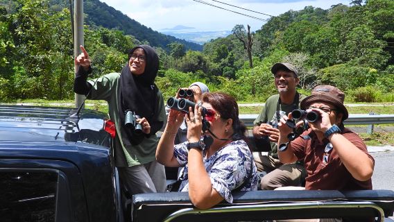 Langkawi Evening Rainforest Afterdark Adventure Tour - Share Tour Option