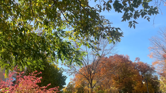 蒙特利爾老城＋聖約瑟大教堂＋皇家山公園：蒙特婁包車一日遊