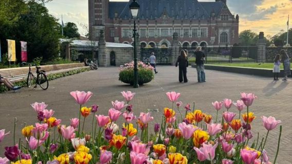 荷蘭阿姆斯特丹+代爾夫特市政廳一日遊/行程可調-中文專車