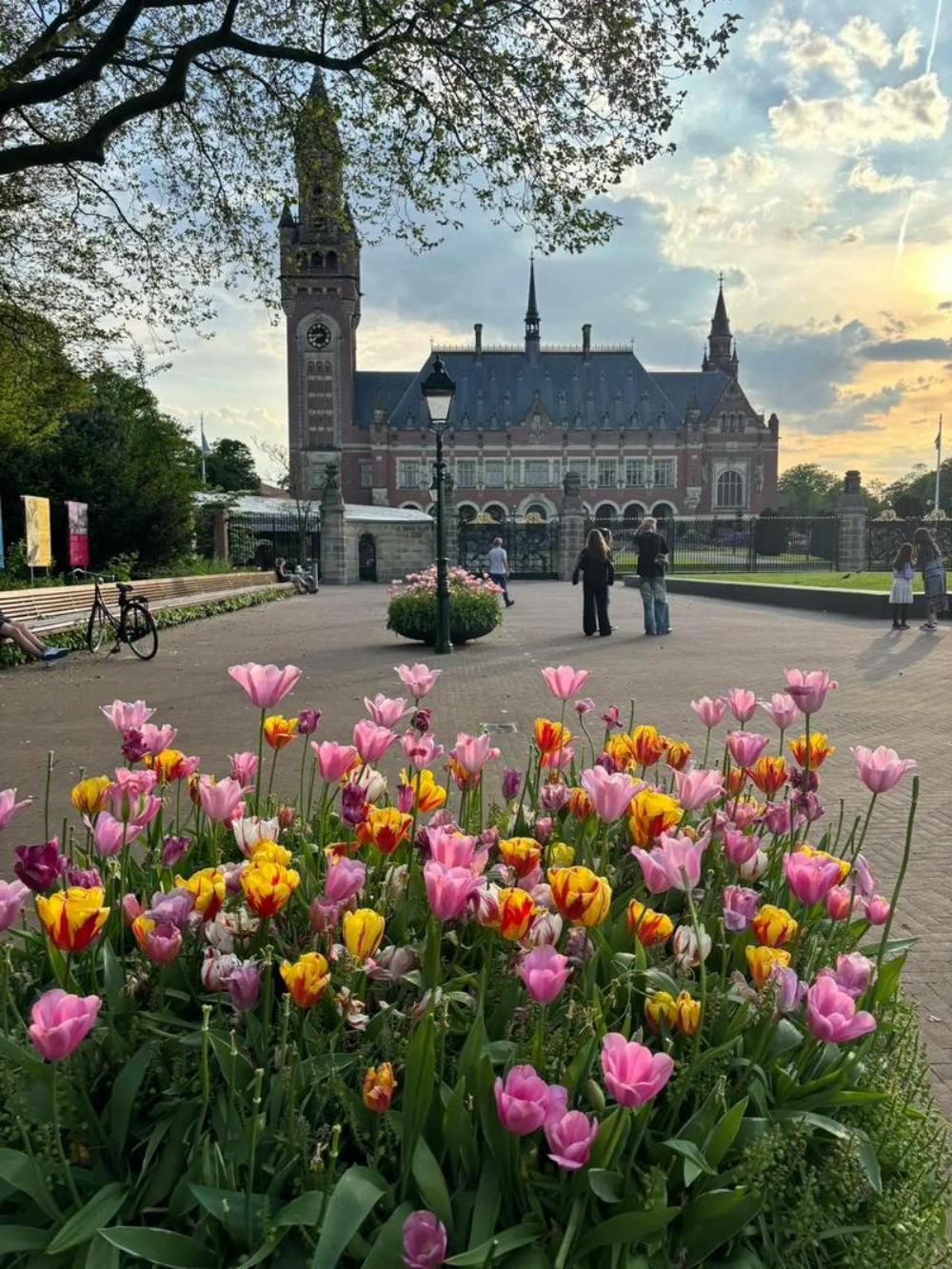 荷蘭阿姆斯特丹+代爾夫特市政廳一日遊/行程可調-中文專車