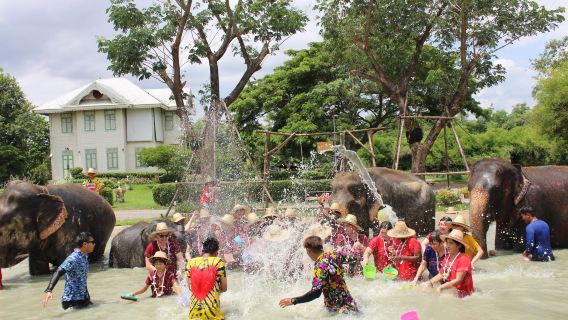 Departing from Bangkok|Half-Day Elephant Camp Experience + Thai Herbal Inhaler DIY + Lunch with Transfer Service