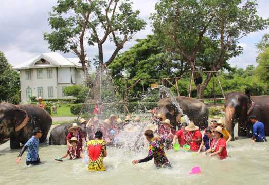 Departing from Bangkok|Half-Day Elephant Camp Experience + Thai Herbal Inhaler DIY + Lunch with Transfer Service