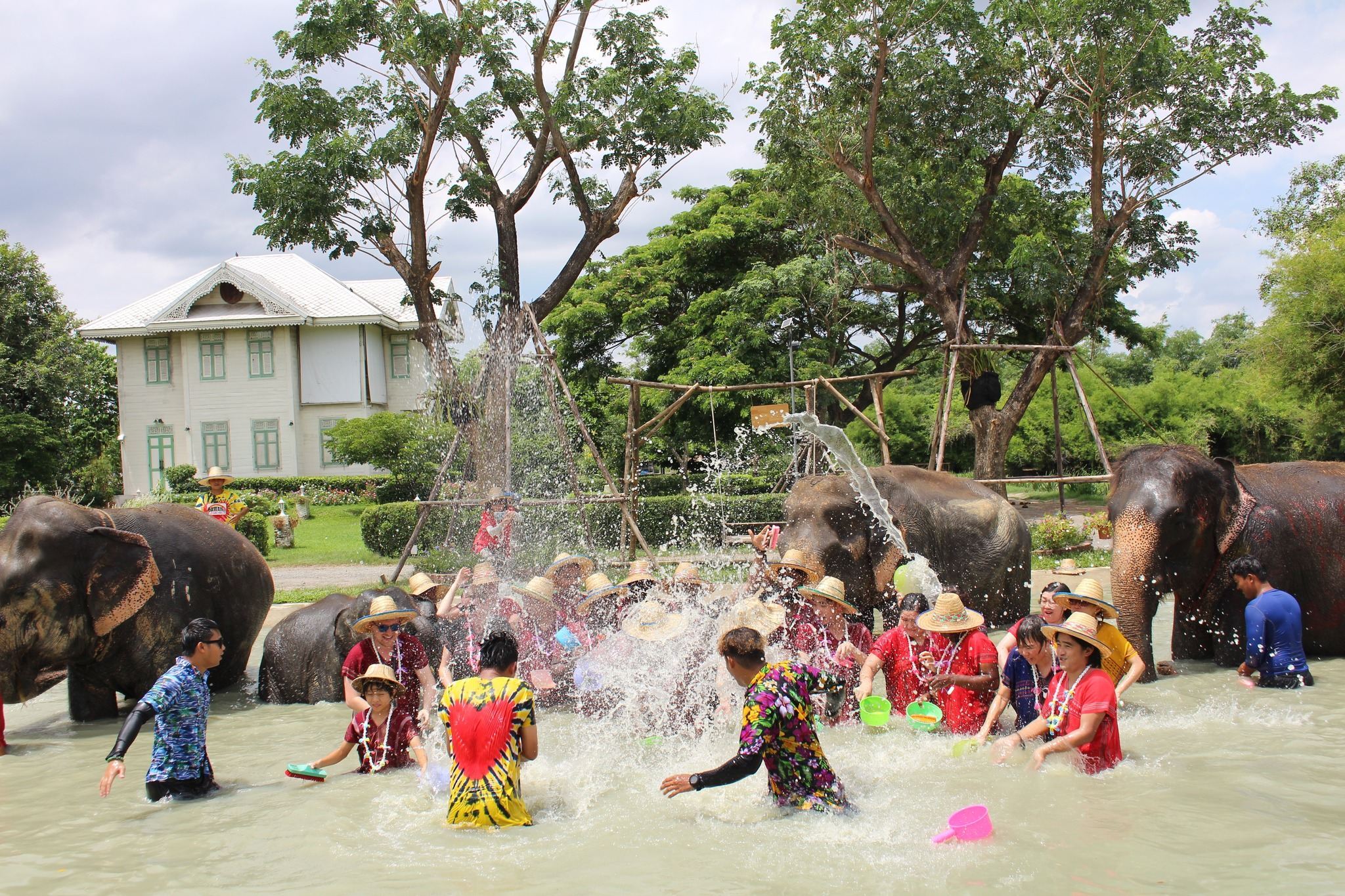 กรุงเทพฯ|ประสบการณ์ครึ่งวันที่ค้างช้าง + ทำยาดมไทยด้วยตัวเอง + บริการรับส่งและอาหารกลางวัน