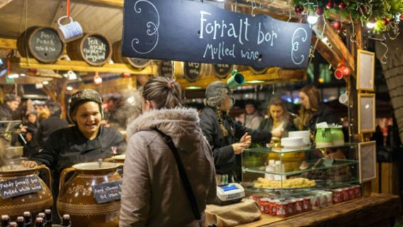 Brussels: Christmas Lights Tour