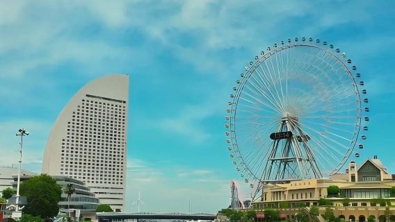 日本東京+橫濱港未來21一日遊/行程可調-可定制多日