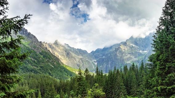 Zakopane : visite touristique au départ de Cracovie
