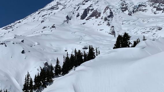 Seattle: Đi bộ đường dài trên núi Rainier với thác nước, sông băng và cây xanh