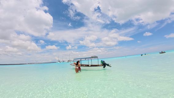 Zanzibar: Mnemba Island & Dolphin Swim with option lunch
