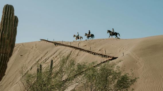 Doha: Paseo a caballo por el mar y el desierto con recogida