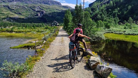 Guided Packraft and e-bike Adventure - Vatnahalsen (Myrdal)