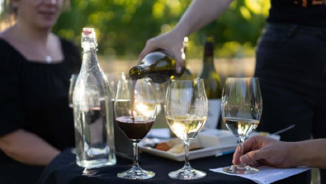 Strange Bird Flight of 3 Wine & Cheese