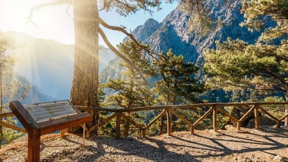 Safari y Jardín Botánico de Chania: recorrido por la naturaleza y los aromas