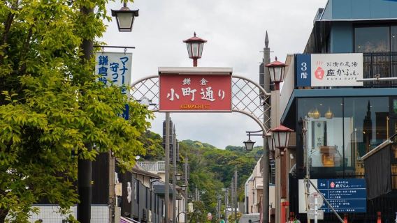 Từ Tokyo: Tour tùy chỉnh riêng trọn ngày tham quan Kamakura