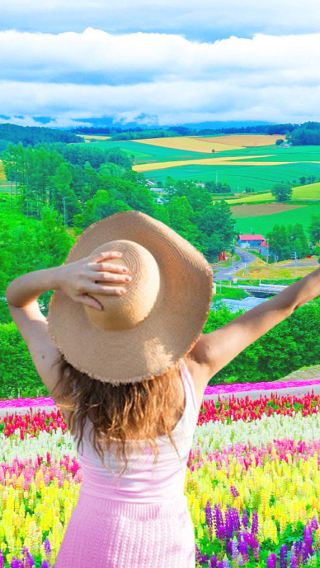 【バスツアー】日本北海道富良野美瑛花海ワンデーツアー 四季彩の丘ファーム富田