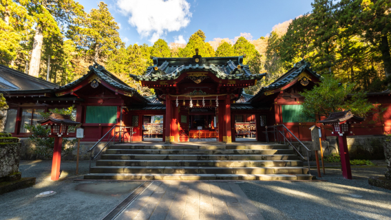 Tour di un giorno a Hakone: Santuario di Hakone, Nave Pirata di Hakone, Funivia di Hakone e Oshino Hakkai