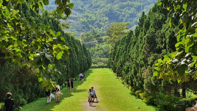 Chiang Mai Soulful Escape: Elefin Farm Elephant cafe and Baan Kang Wat