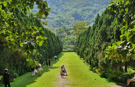 清邁心靈之旅：Elefin Farm 大象咖啡館與文青村
