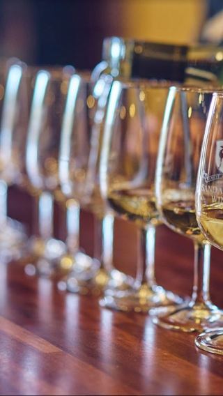 1-day tour to Swan Valley + Lancaster in Perth, Australia [3 wineries + lunch]