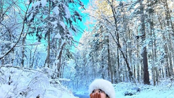 Дневной тур "Дрейф по зачарованному лесу с инеем + Снежный хребет/озеро Лаолик" с индивидуальным трансфером туда и обратно из Эрдаобайхэ в Чанбайшань