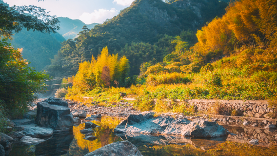 神仙居＋高遷古民居【台州出發】