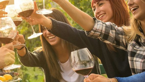 Yarra Valley: Winery Tour with Lunch + Transport from Melbourne