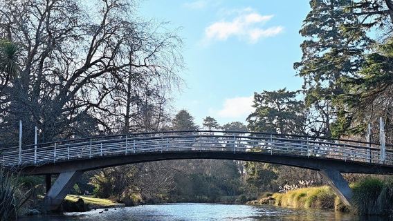 紐西蘭-基督城/但尼丁/因弗卡吉爾/尼爾森·中文司機機場接駁服務