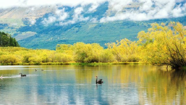 Lawatan sewa peribadi 1 hari dari Queenstown ke Glenorchy + Sungai Dart + Kereta Kabel Queenstown Skyline